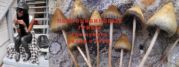 хмурый Заводоуковск