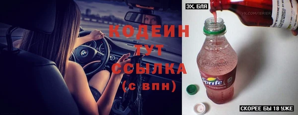 хмурый Заводоуковск