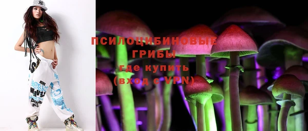 трава Зеленодольск