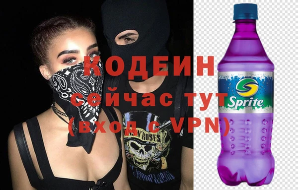хмурый Заводоуковск