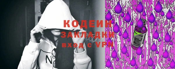 хмурый Заводоуковск