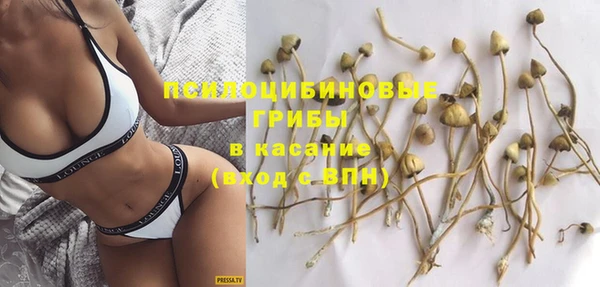 хмурый Заводоуковск