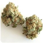Шишки "White Widow"  (Белая вдова)  Гидропоника -  Бошка VHQ в Жуковке